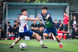 意甲最新动态国米巴斯托尼转会不易西多夫之子精彩首秀